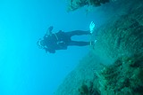 DSC02378.jpg